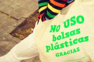 Se prohibirá el uso de bolsas plásticas en la Ciudad por más de un motivo