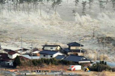 Cómo sobrevivieron a la gran crisis: un tsunami