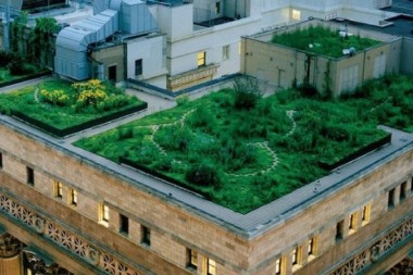 🌺ecen techos verdes en grandes ciudades