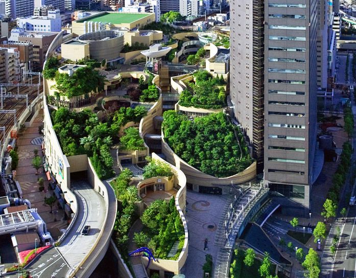city green roof.jpg 3