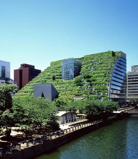 city green roof.jpg 4