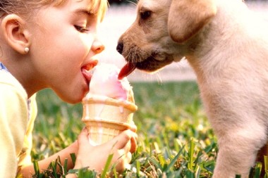 Fabrican helados para perros que son buenos para su salud e ideales para…