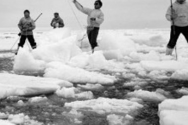 Las potencias mundiales prohibieron definitivamente la pesca en el ártico. Fijate cómo avanza el…