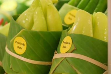 Supermercados en Tailandia embalan sus alimentos en hojas de plátano 🍌