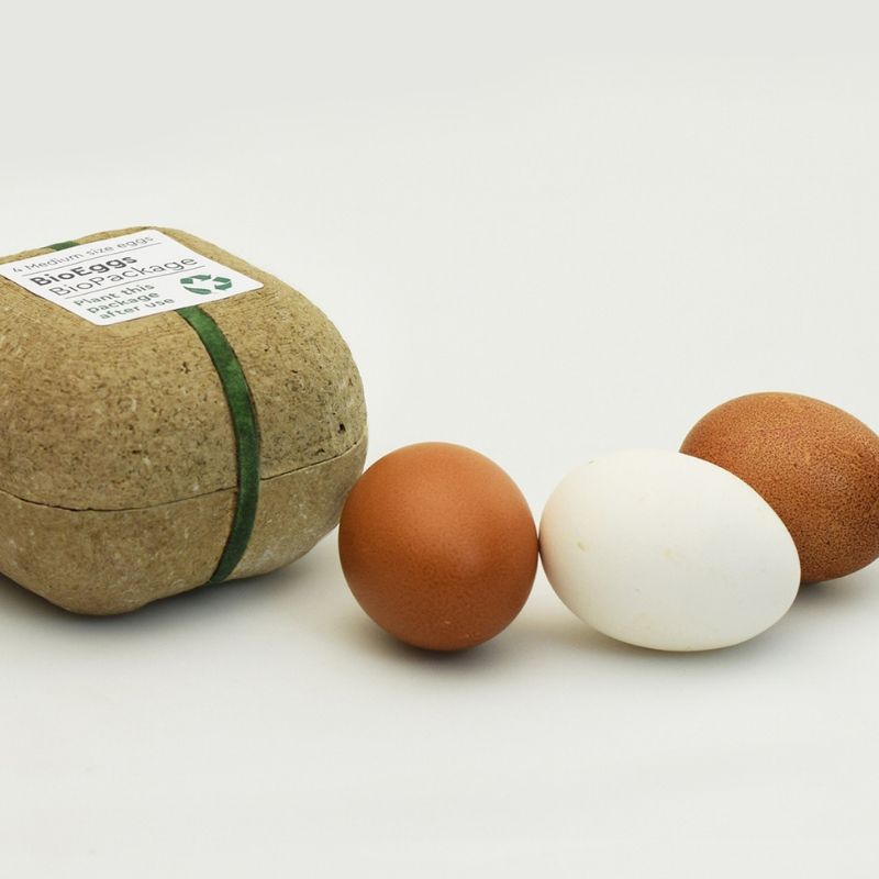 biopack huevos