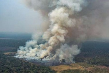 El mundo responde al fuego amazónico así