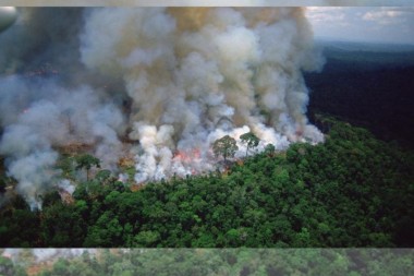 Amazonas en llamas desde hace 17 días, todavía no…
