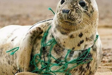 Estiman que hasta un 46% del plástico en los mares son redes de pesca