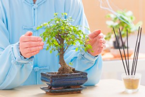 Woman with bonsai tree