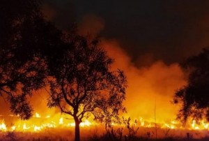 IncendioRural-Corrientes