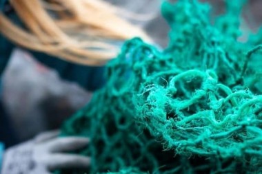 Estiman que un 46% del plástico en los océanos son redes de pesca, y ellos las aprovechan para…